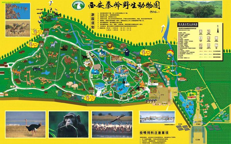 西安秦岭野生动物园导游图